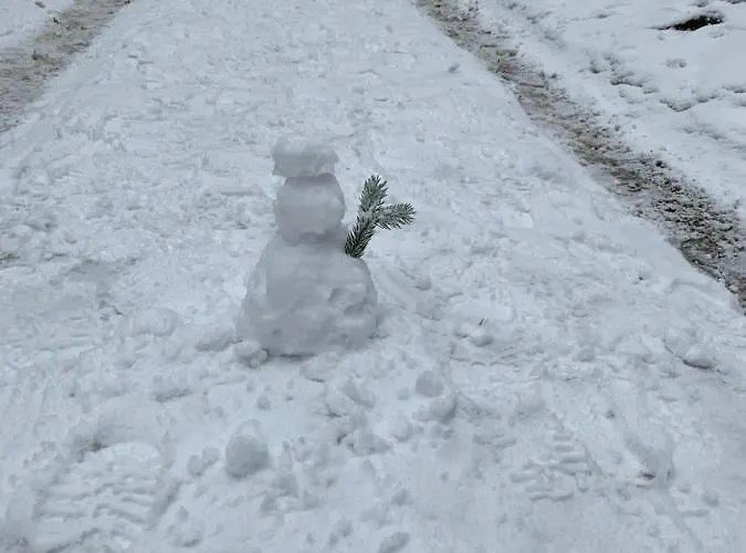 No.813 Szklarska Poręba